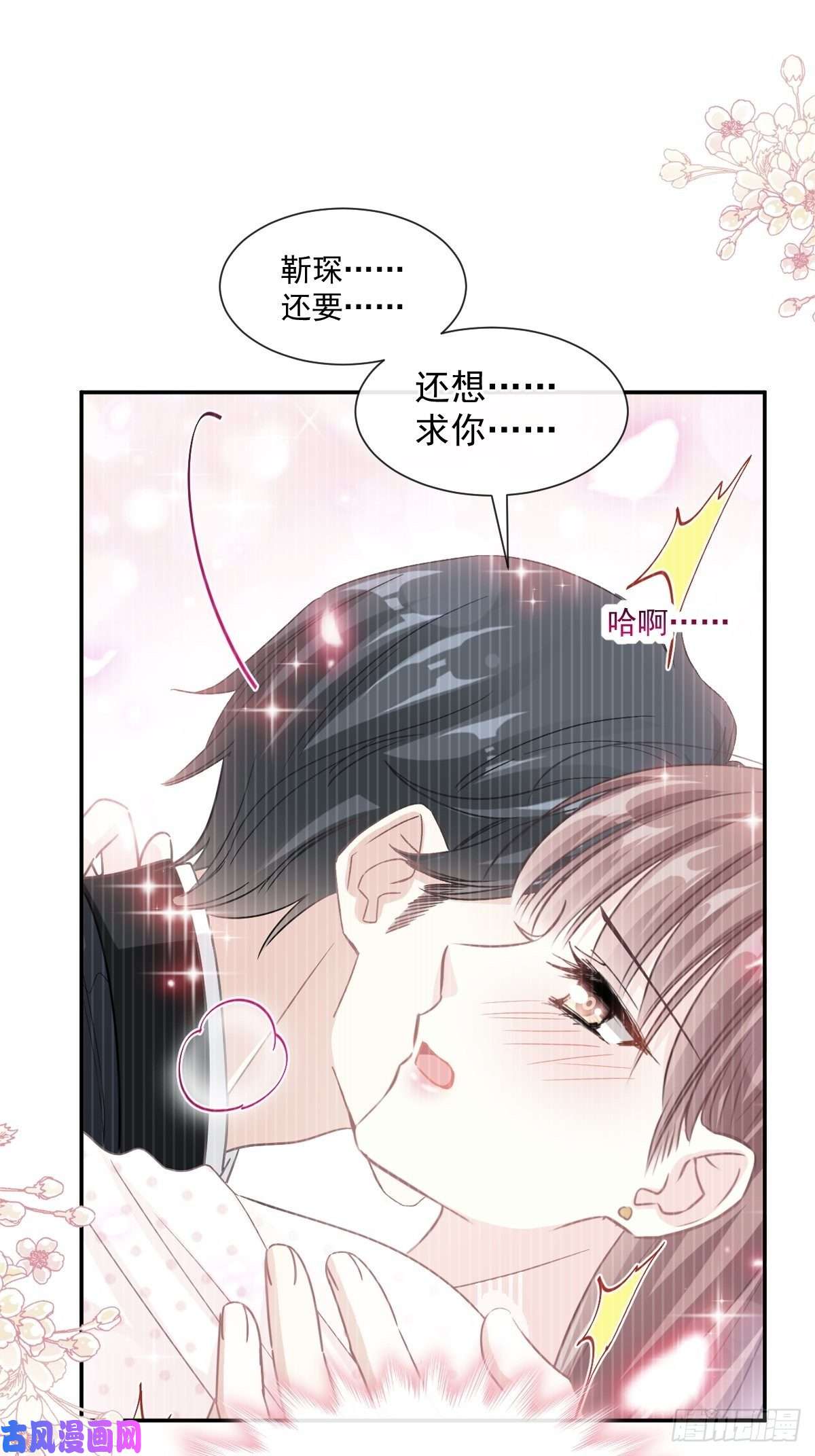 霸道总裁轻点爱140 筹备婚礼