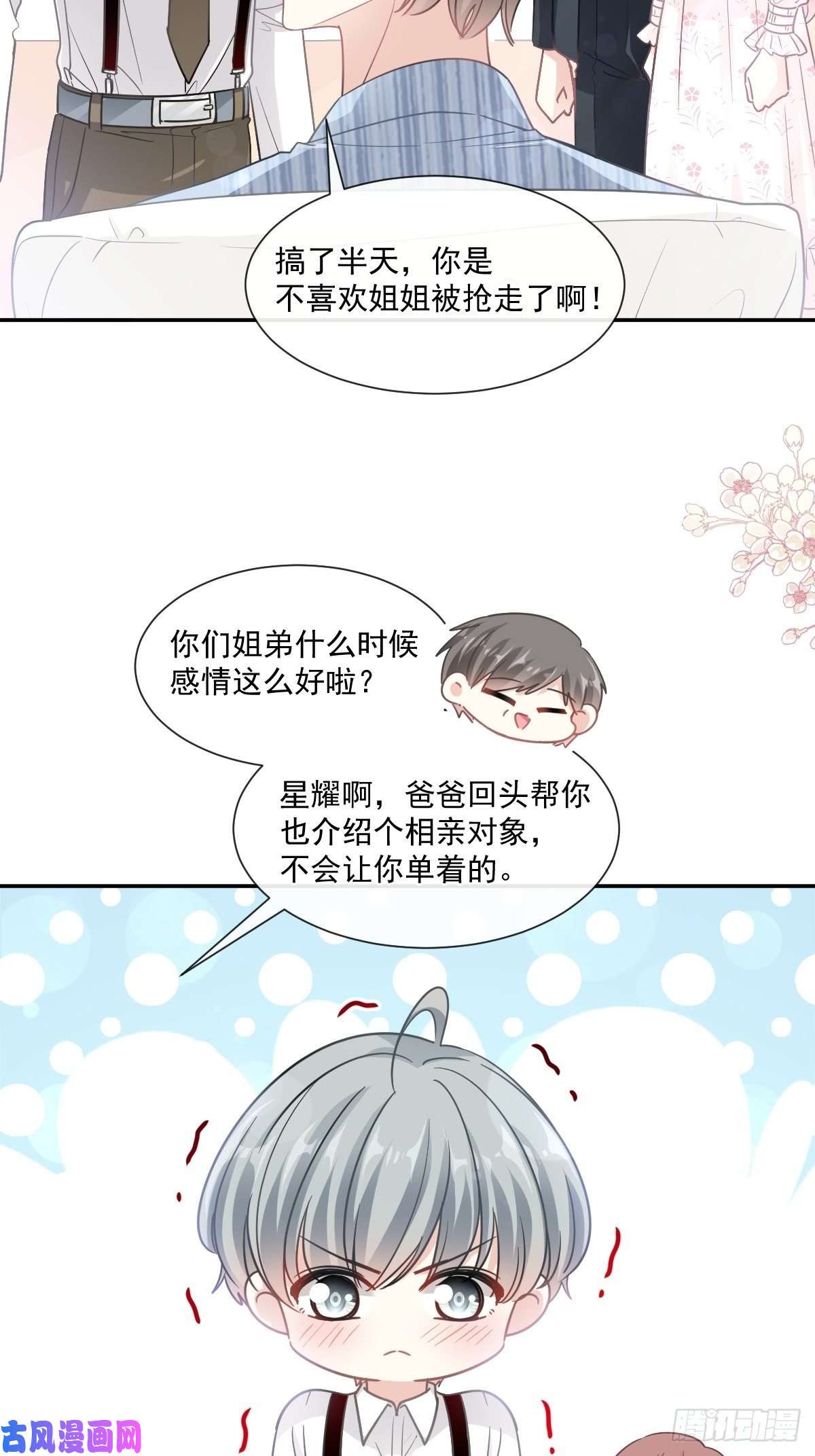 霸道总裁轻点爱140 筹备婚礼