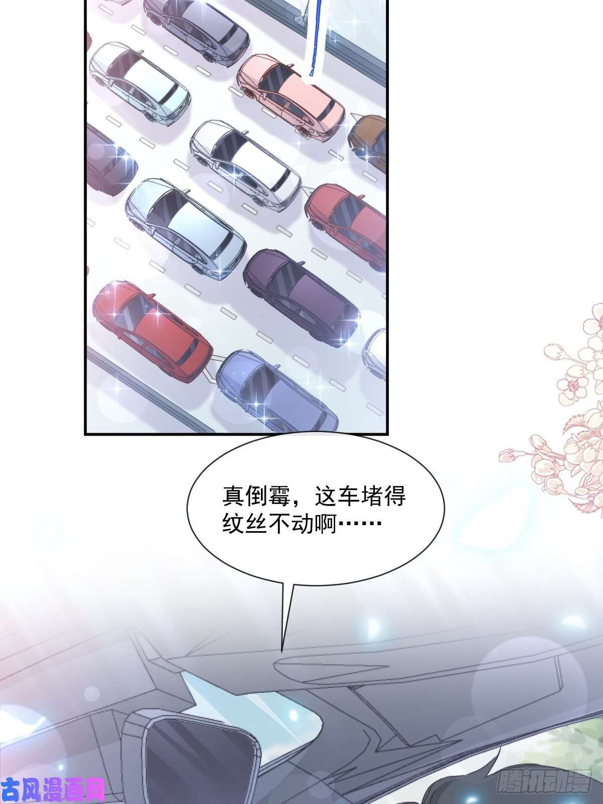 霸道总裁轻点爱155 霸道护妻