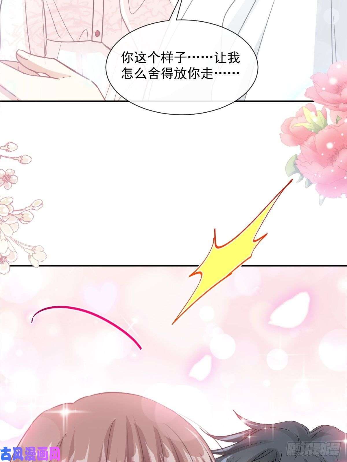 霸道总裁轻点爱148 车中旋律