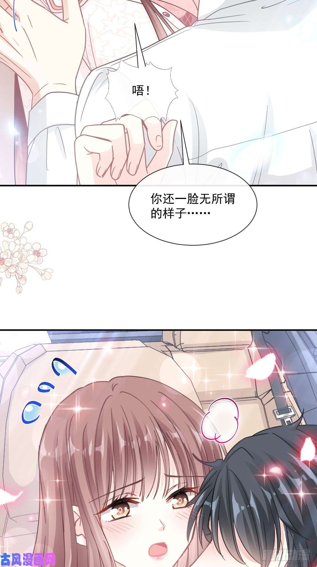 霸道总裁轻点爱148 车中旋律