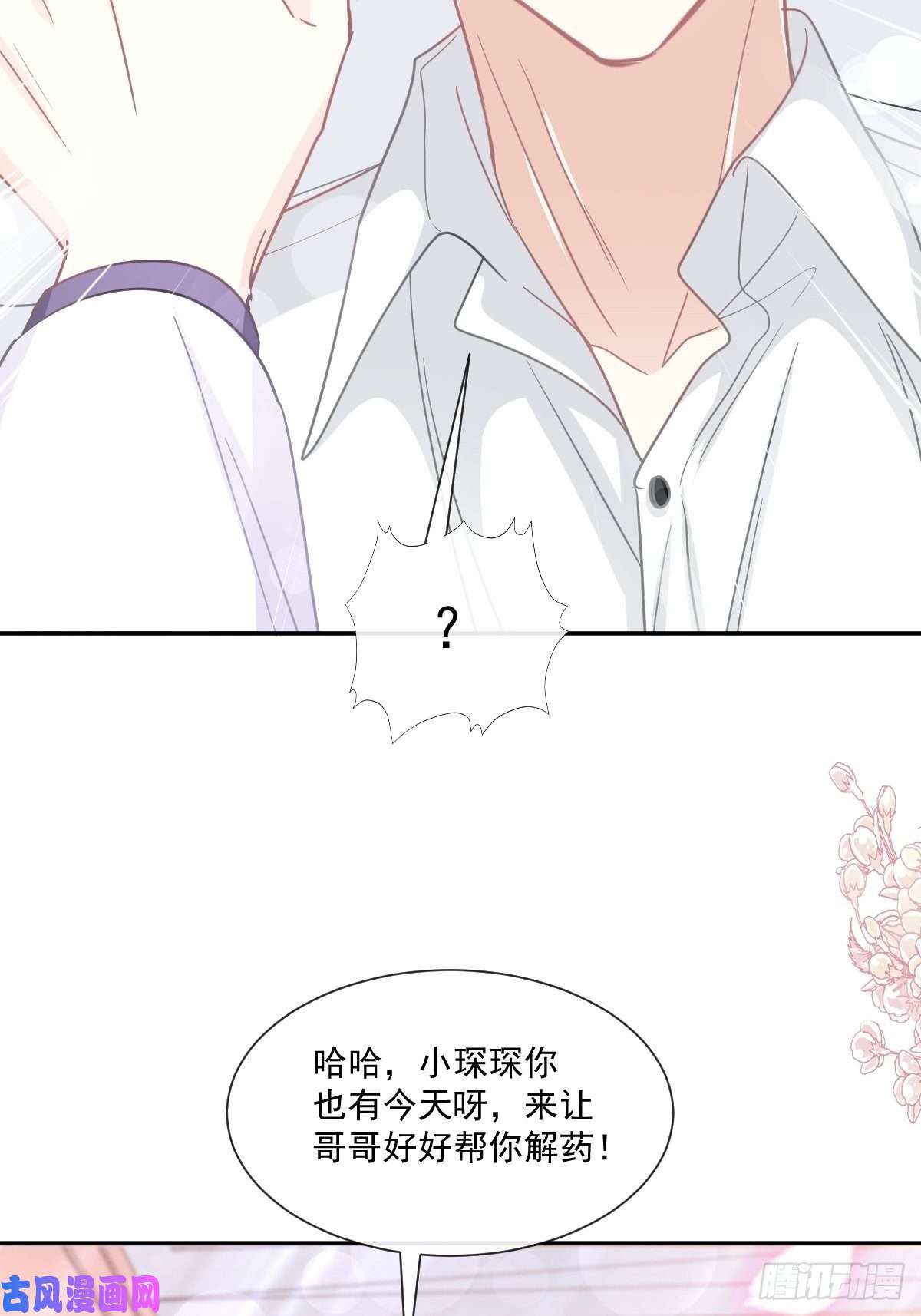 霸道总裁轻点爱148 车中旋律