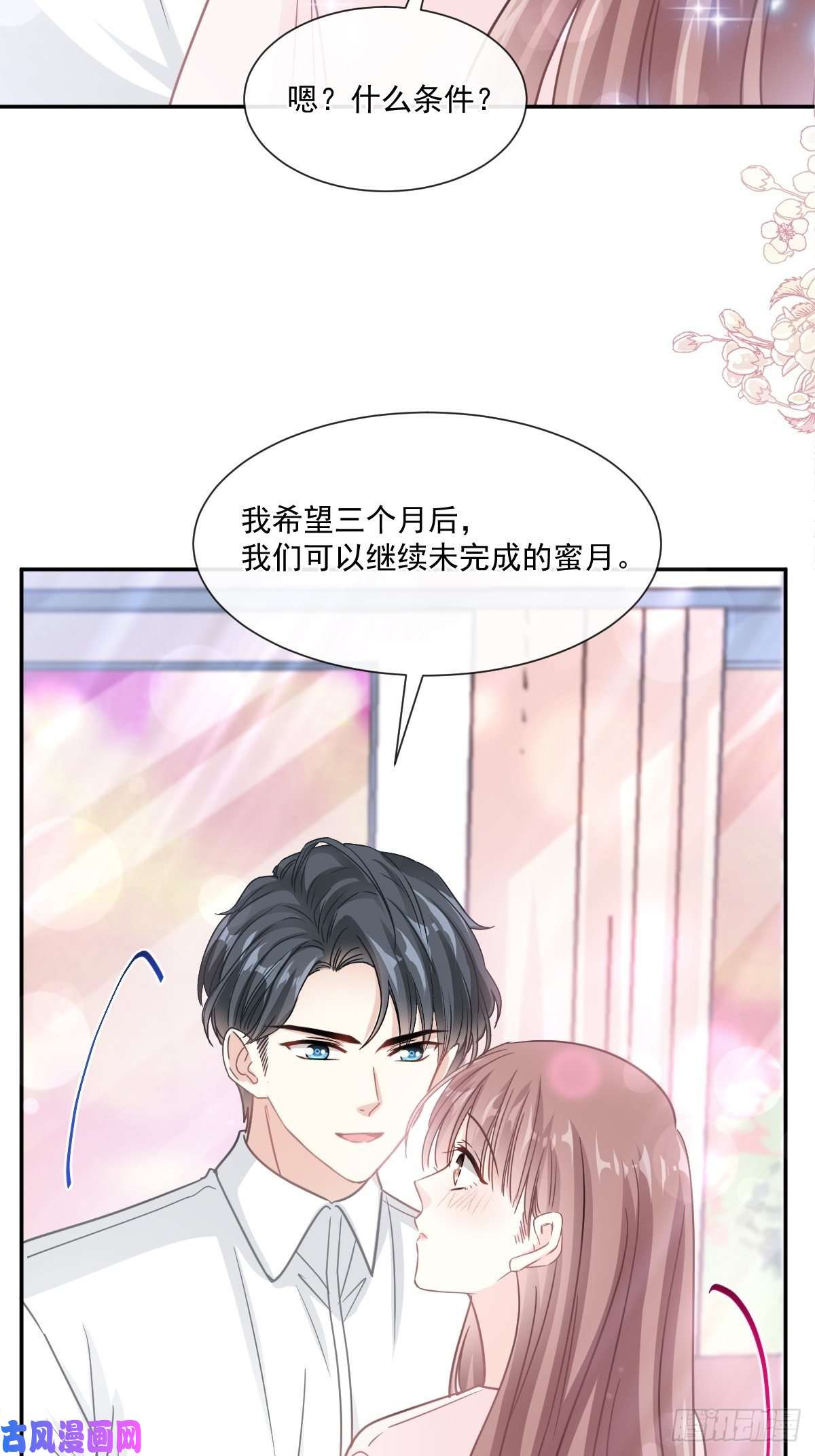 霸道总裁轻点爱第156话 蜜月旅行