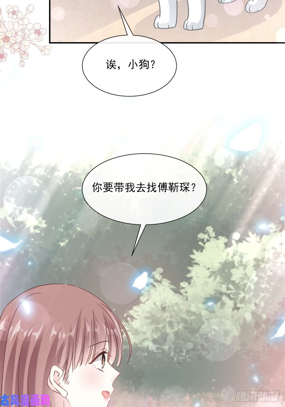 霸道总裁轻点爱160 心动的清晨