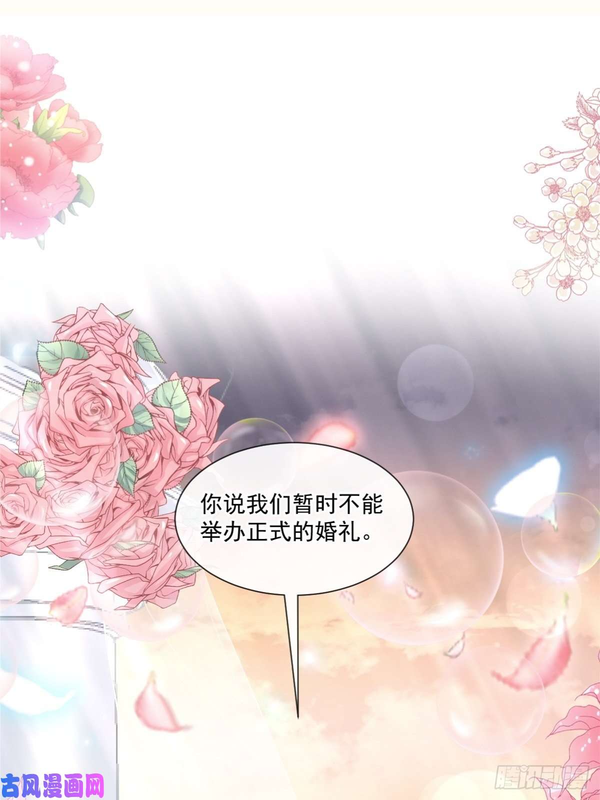 霸道总裁轻点爱161 夕阳下的婚礼