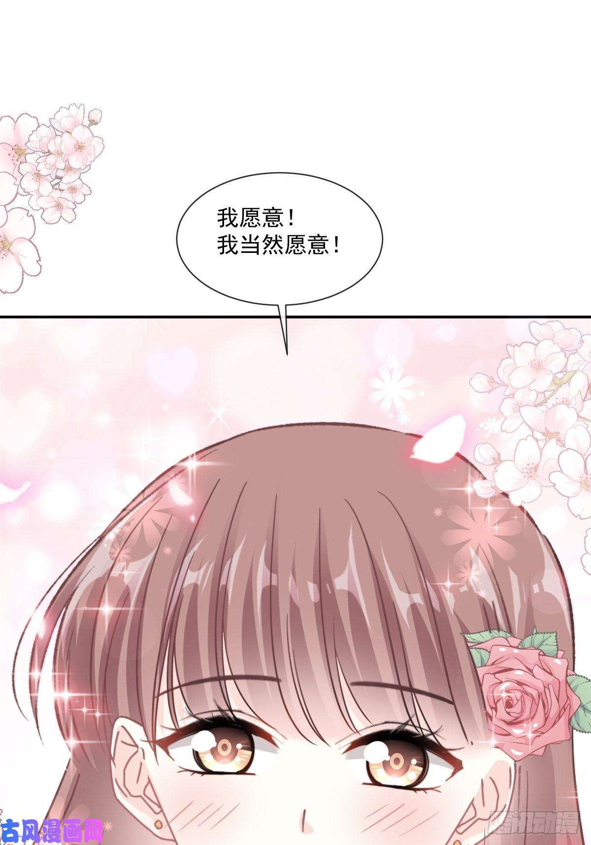 霸道总裁轻点爱161 夕阳下的婚礼