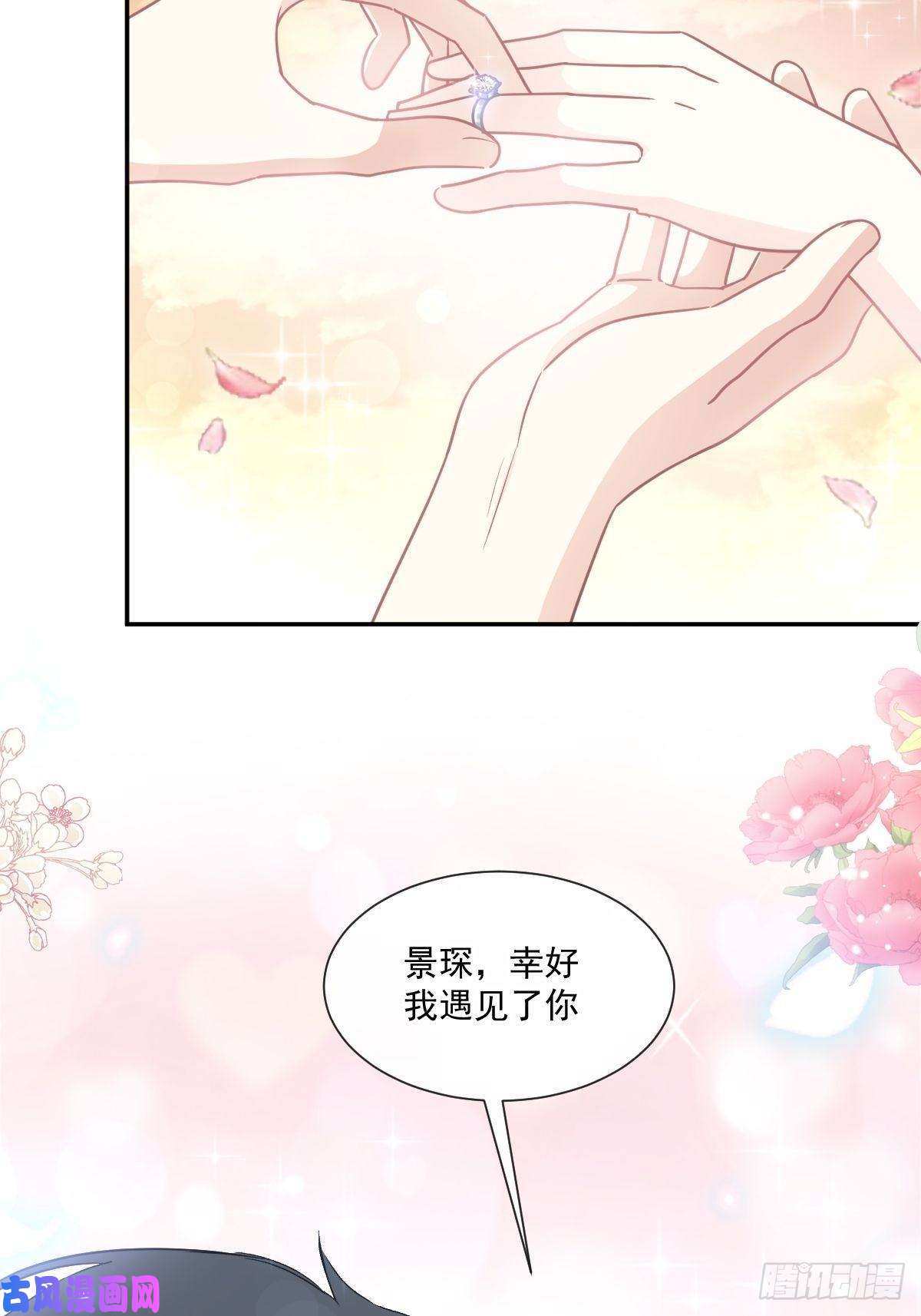 霸道总裁轻点爱161 夕阳下的婚礼