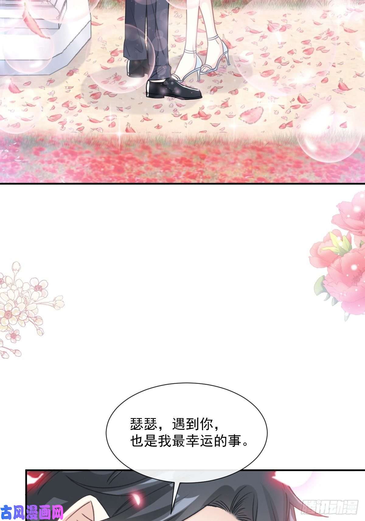 霸道总裁轻点爱161 夕阳下的婚礼