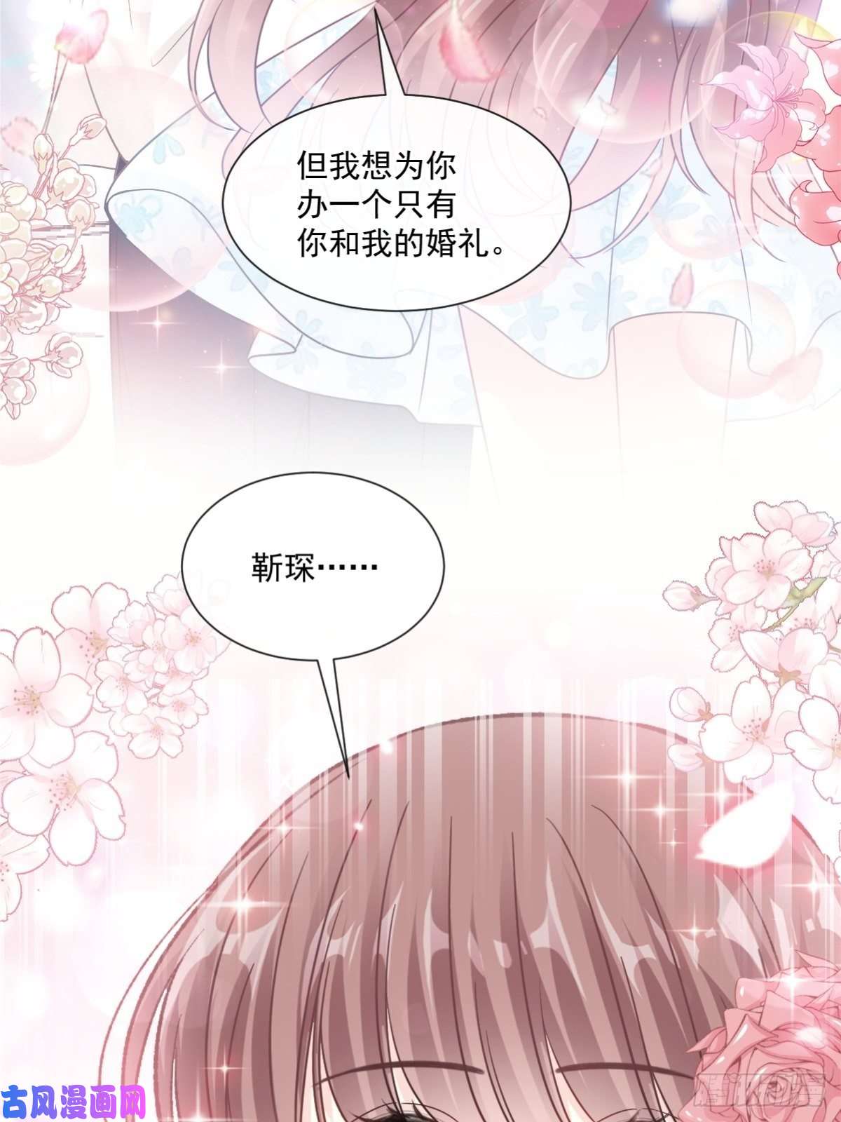 霸道总裁轻点爱161 夕阳下的婚礼