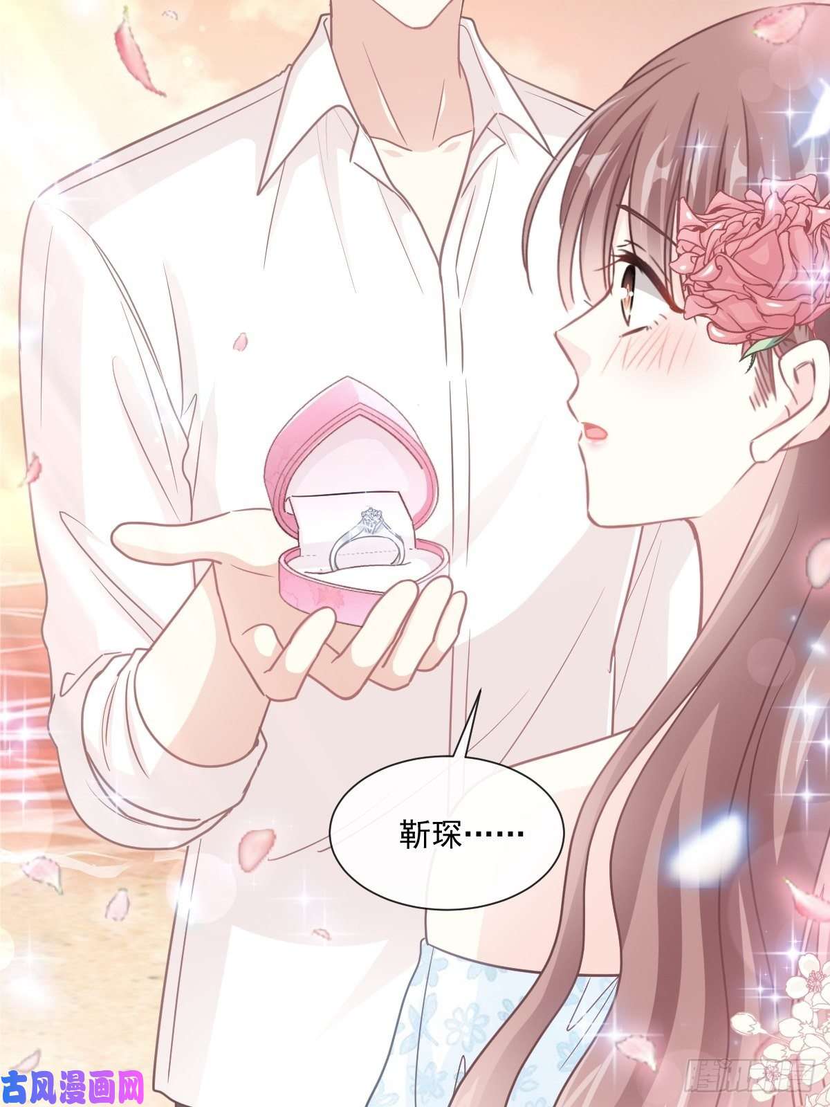 霸道总裁轻点爱161 夕阳下的婚礼