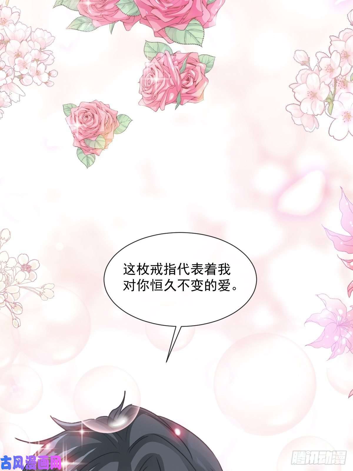 霸道总裁轻点爱161 夕阳下的婚礼