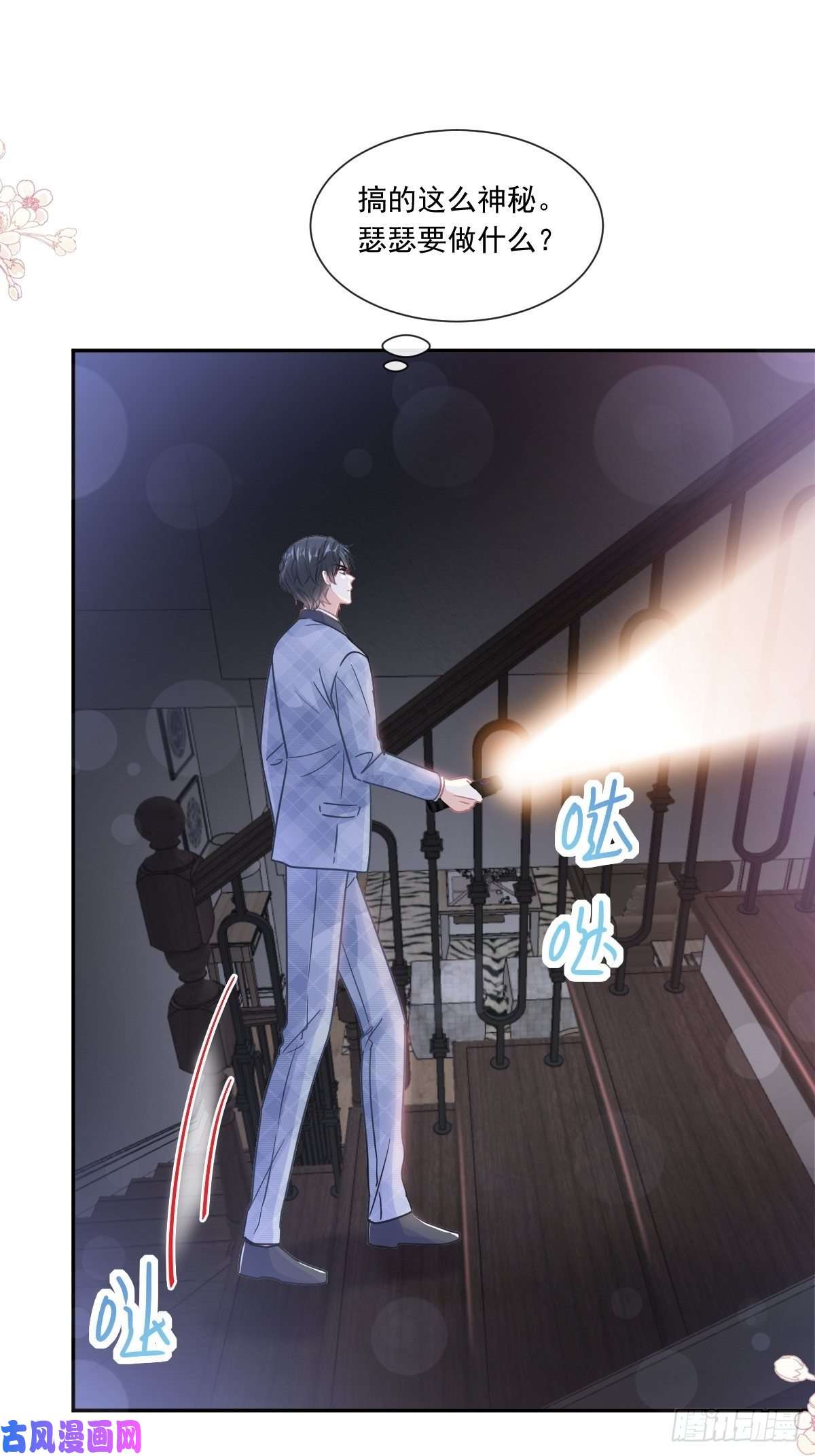 霸道总裁轻点爱169 瑟瑟的惊喜