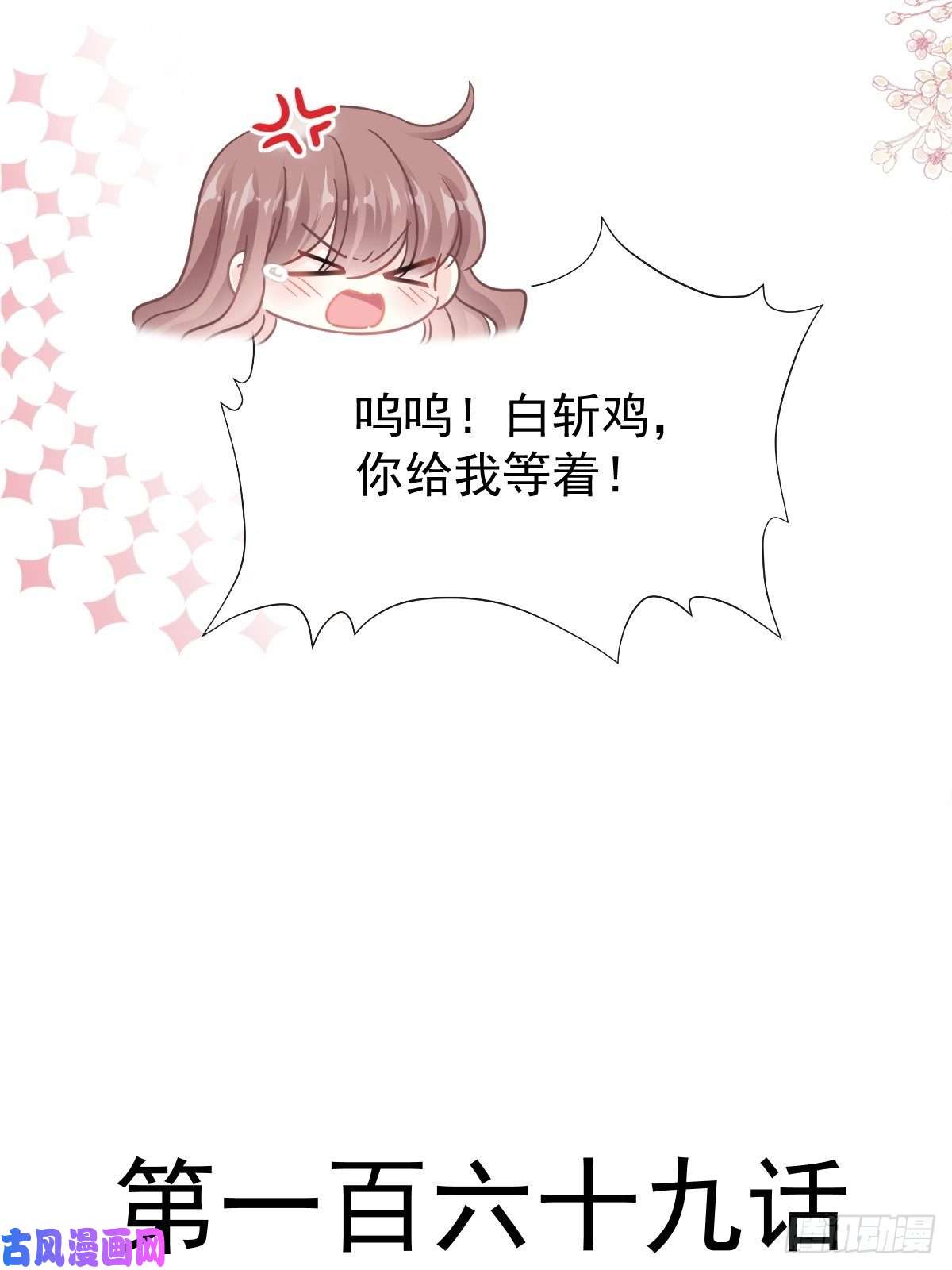 霸道总裁轻点爱169 瑟瑟的惊喜
