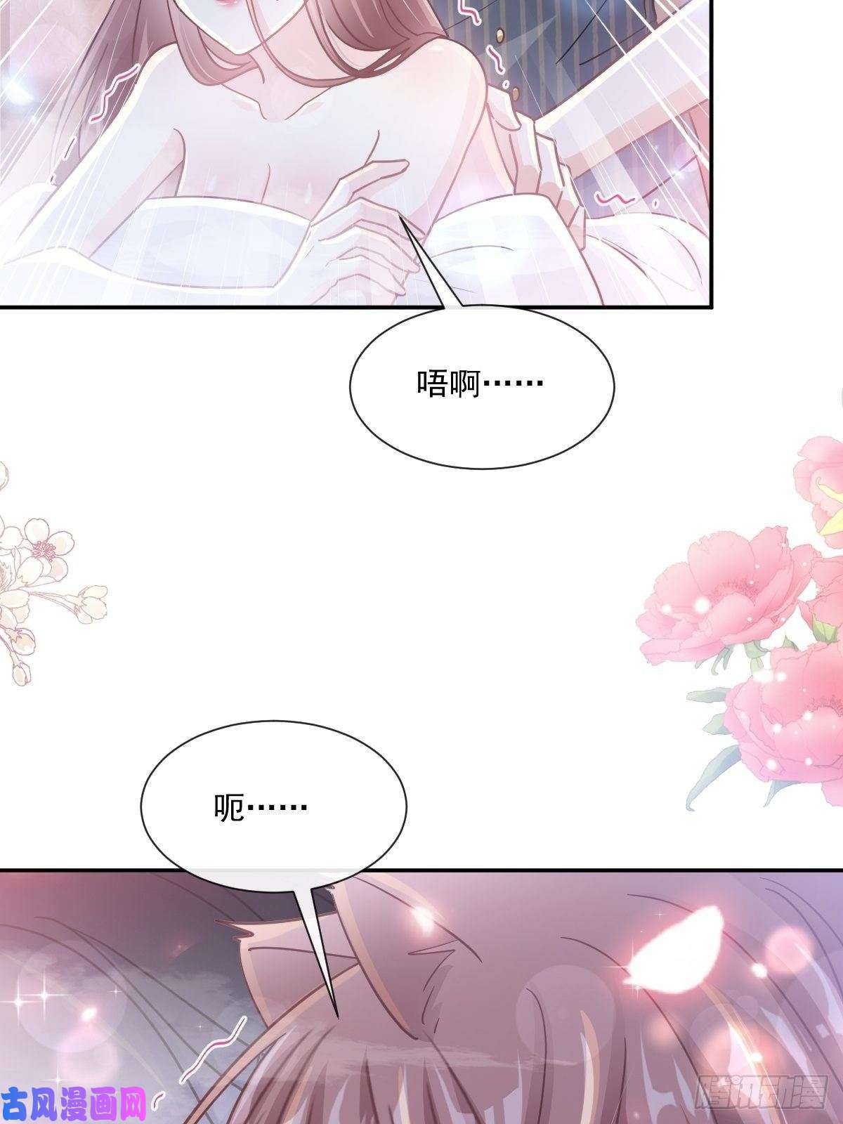 霸道总裁轻点爱174 专属服务