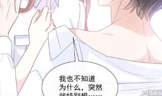 霸道总裁轻点爱250话 无法抑制的欲望