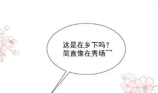 霸道总裁轻点爱251话 钞能力