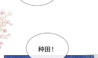 霸道总裁轻点爱251话 钞能力