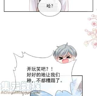 霸道总裁轻点爱251话 钞能力