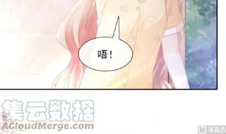 霸道总裁轻点爱253话 满足你的一切需要