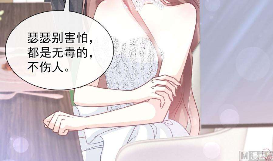 霸道总裁轻点爱268话 恶有恶报