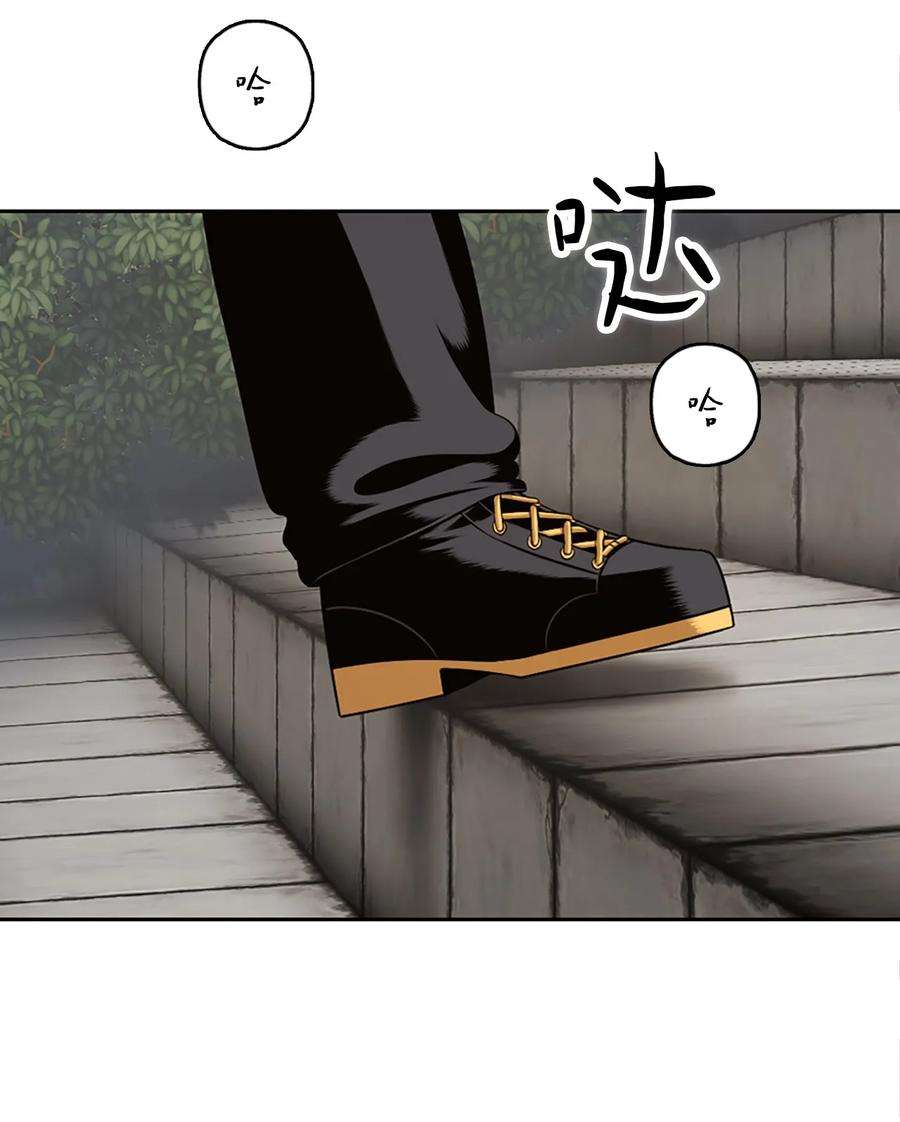 潘菲亚传奇20 20