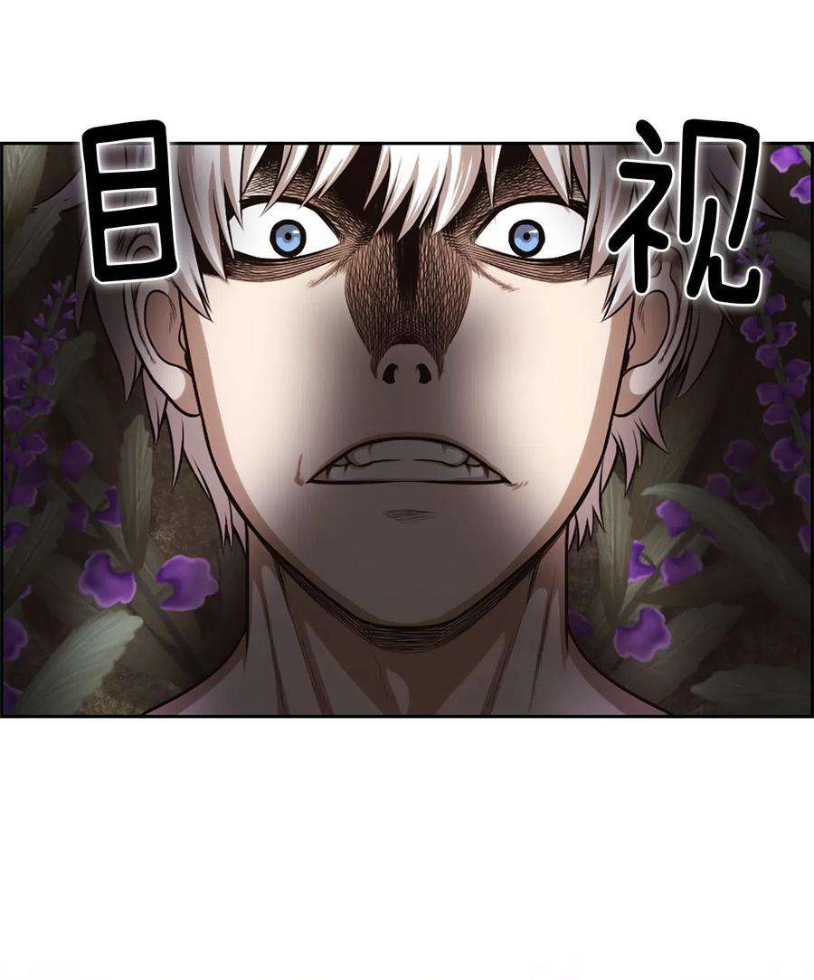 潘菲亚传奇31 31