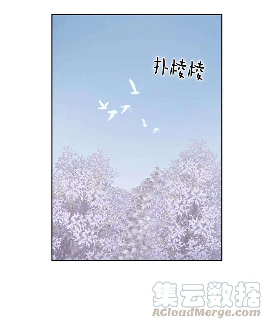 潘菲亚传奇38 38