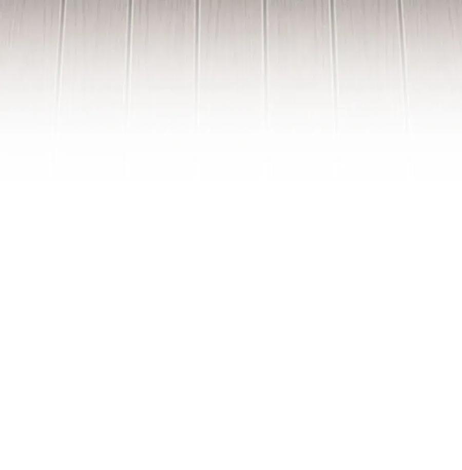 潘菲亚传奇105 105