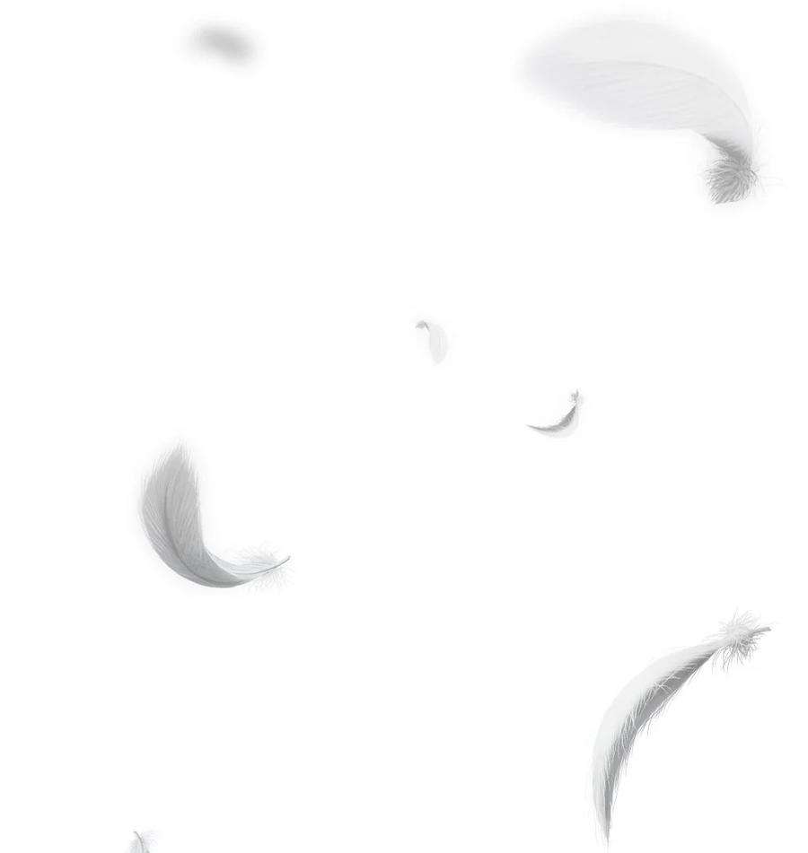 潘菲亚传奇173 173