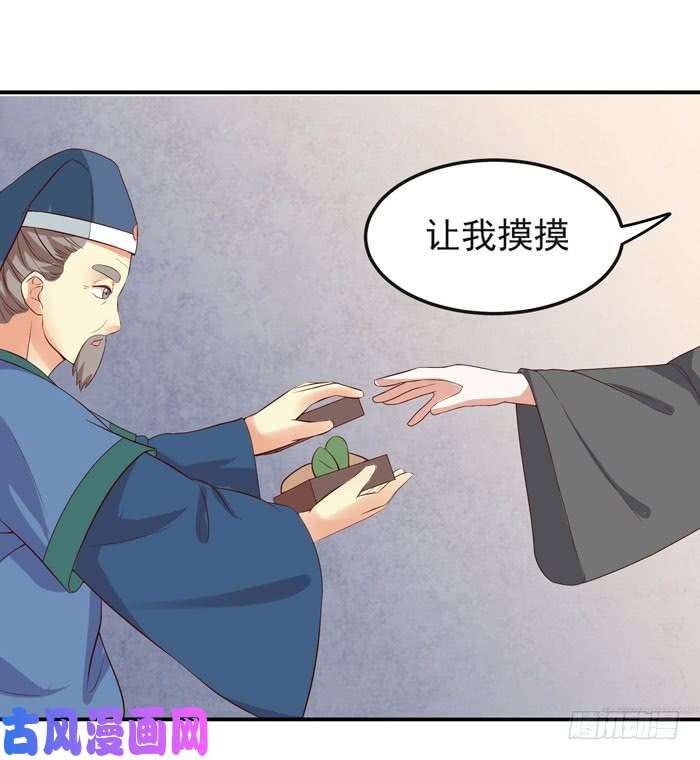 鬼医凤九好大一只“鸟”