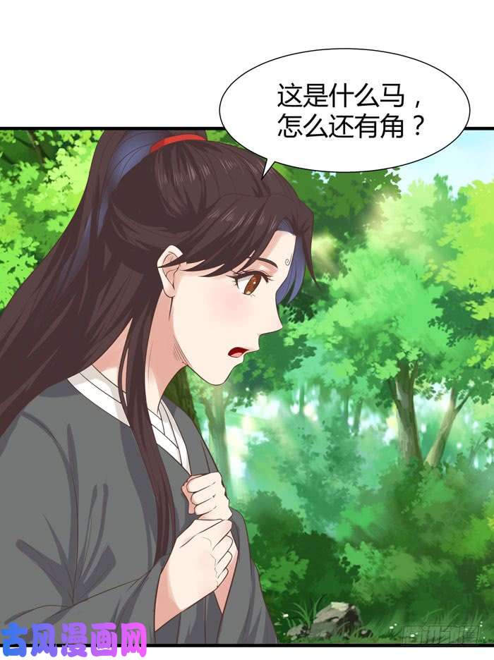 鬼医凤九卖给我吧