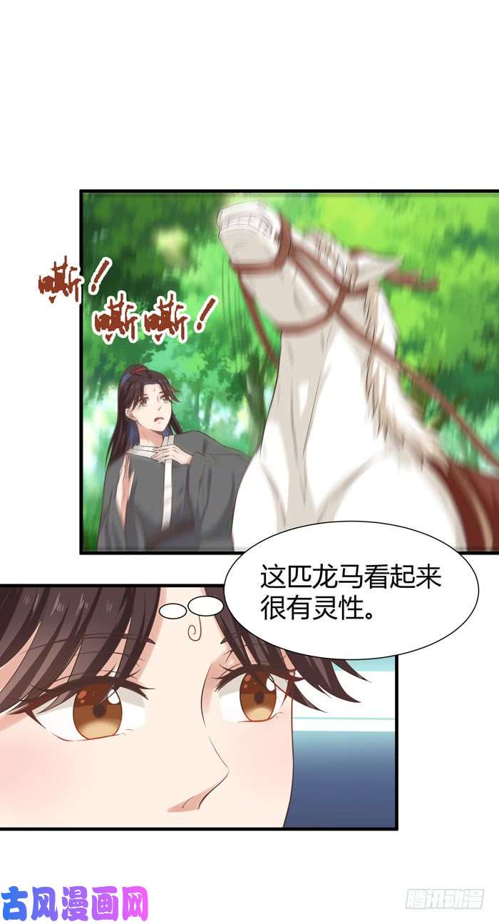 鬼医凤九卖给我吧