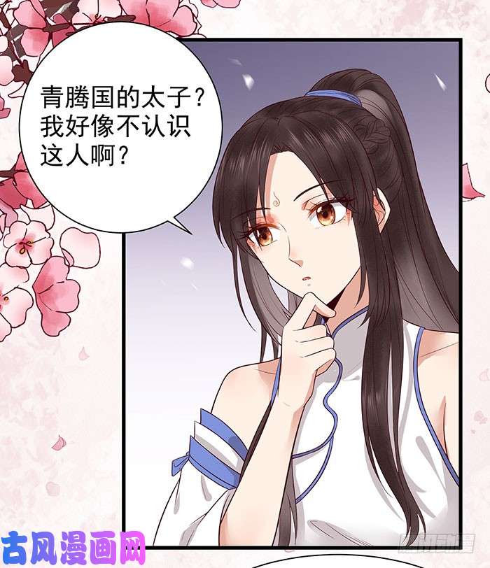 鬼医凤九清宁郡主