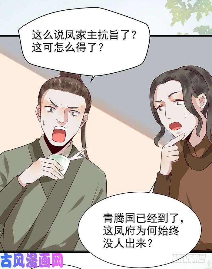 鬼医凤九清宁郡主