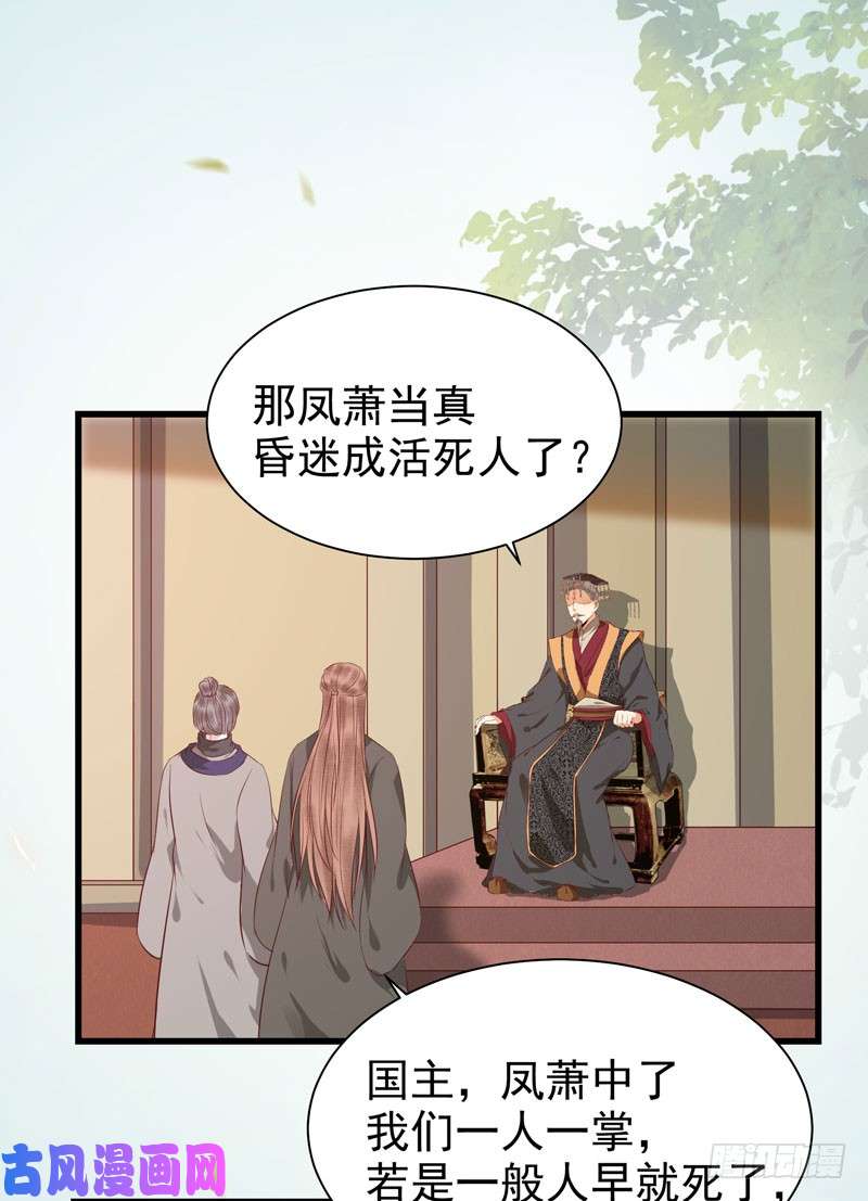 鬼医凤九凤府旁支