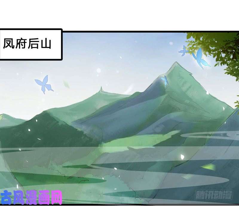 鬼医凤九天地誓言