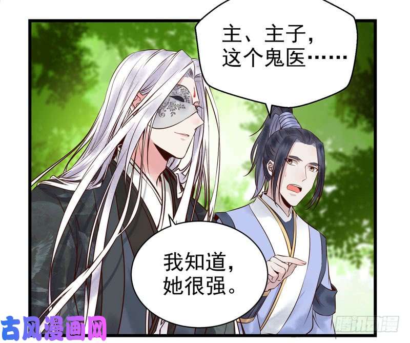 鬼医凤九天地誓言