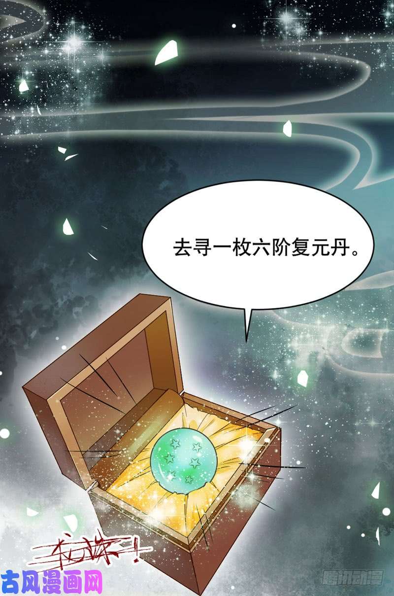 鬼医凤九嫁给我