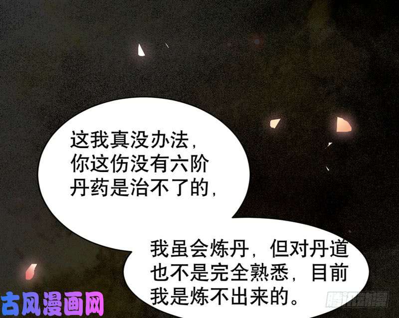 鬼医凤九嫁给我