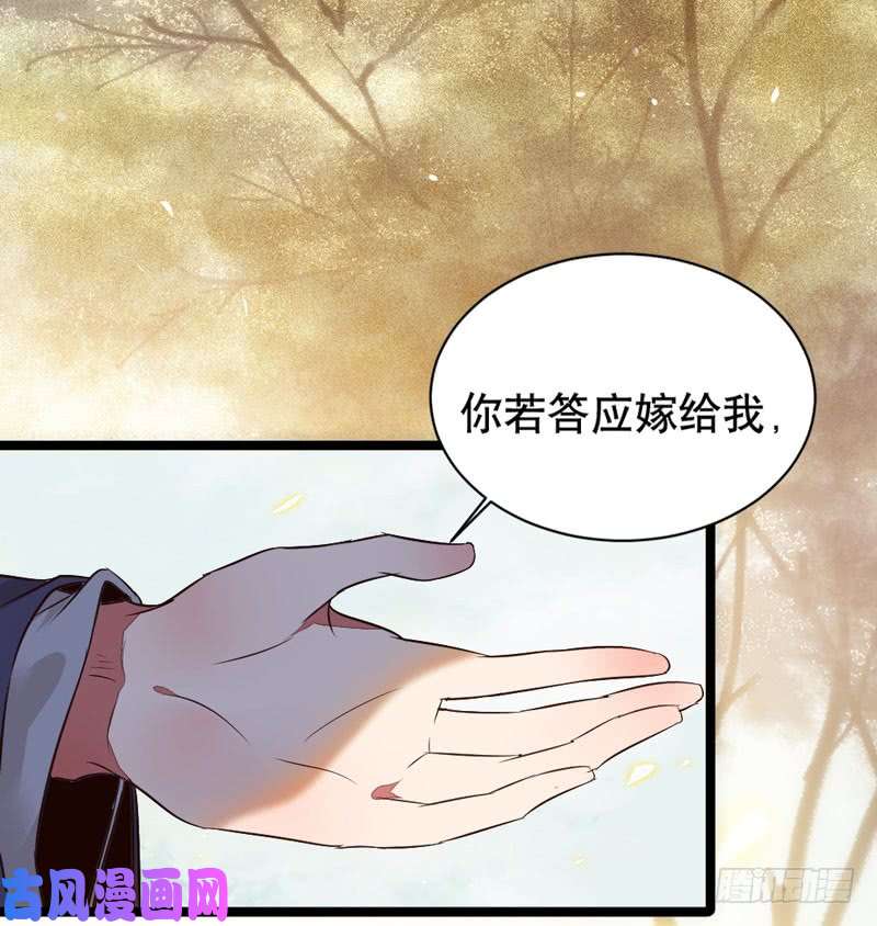 鬼医凤九嫁给我