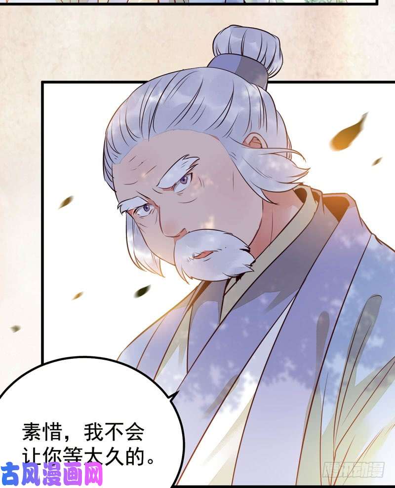 鬼医凤九归凤凰王朝