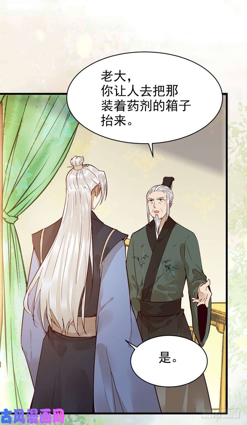 鬼医凤九鬼医药剂