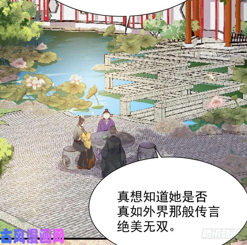 鬼医凤九宫中皇子