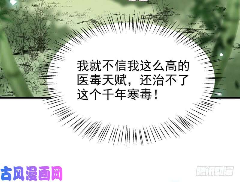 鬼医凤九胖揍皇子