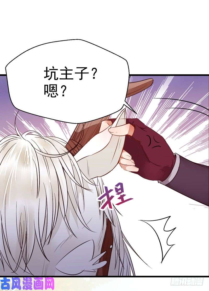 鬼医凤九混沌青莲