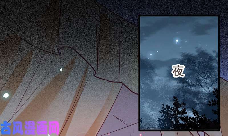 鬼医凤九混沌青莲