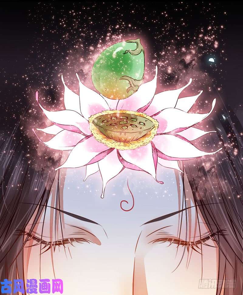 鬼医凤九混沌青莲