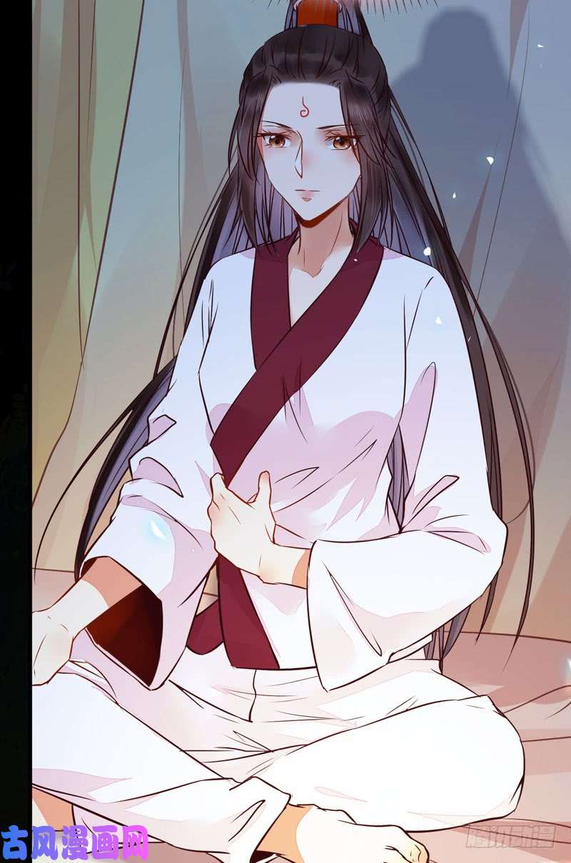 鬼医凤九混沌青莲