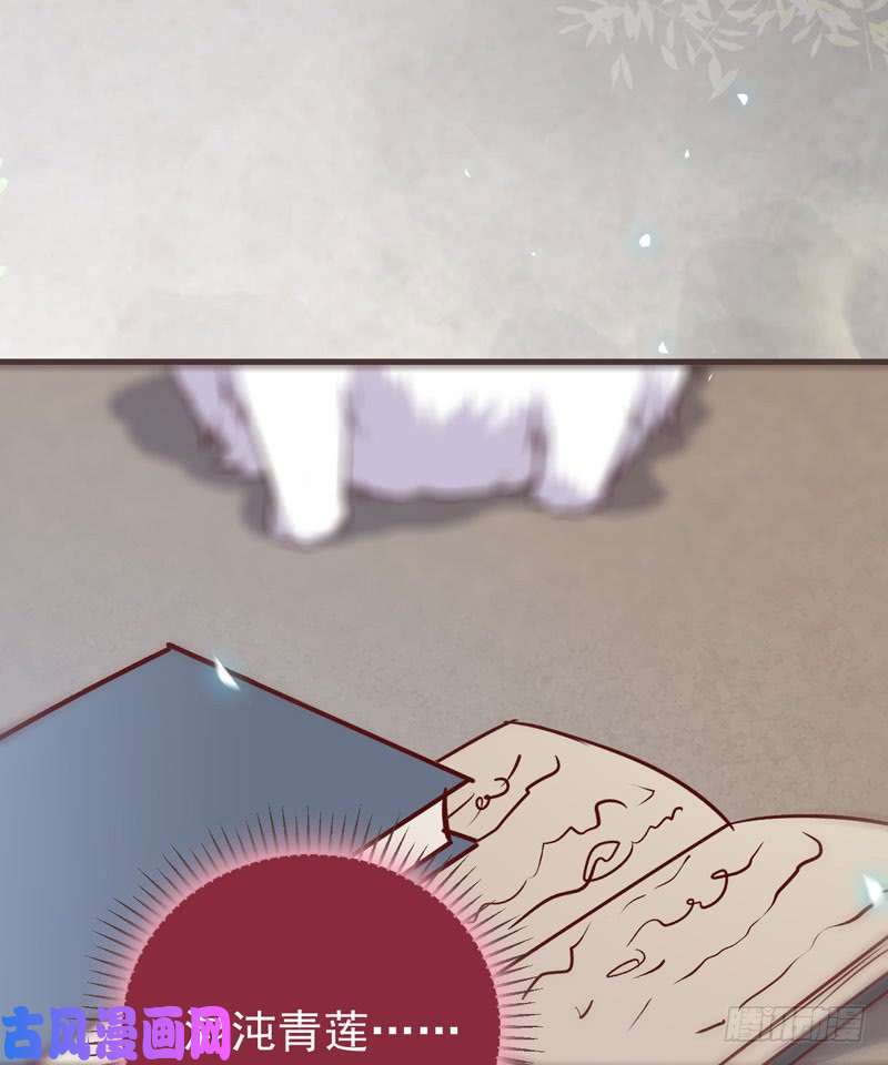 鬼医凤九混沌青莲