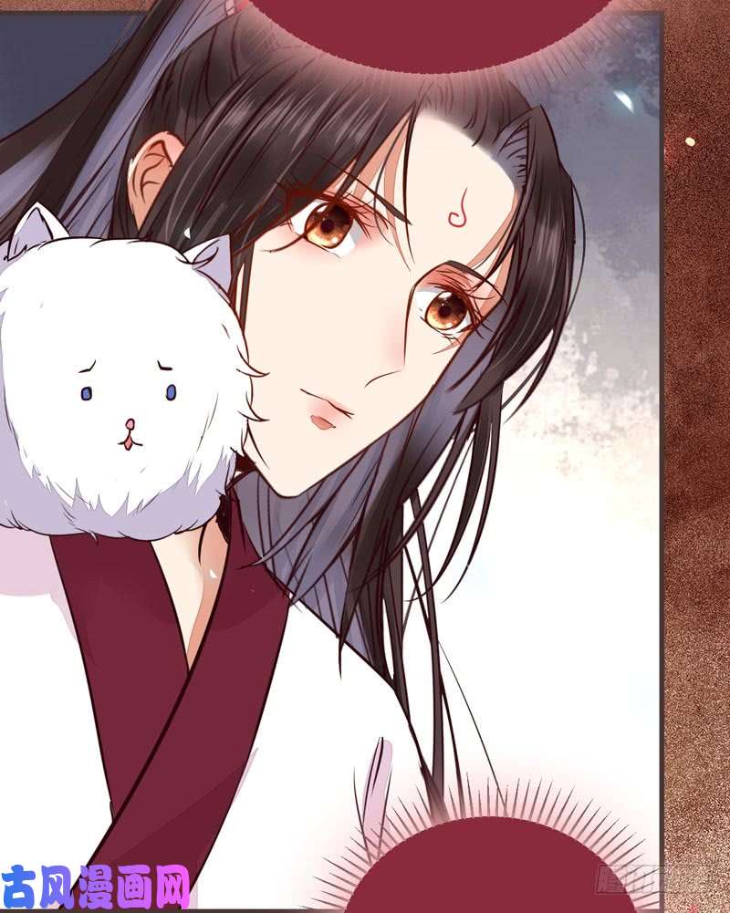 鬼医凤九混沌青莲